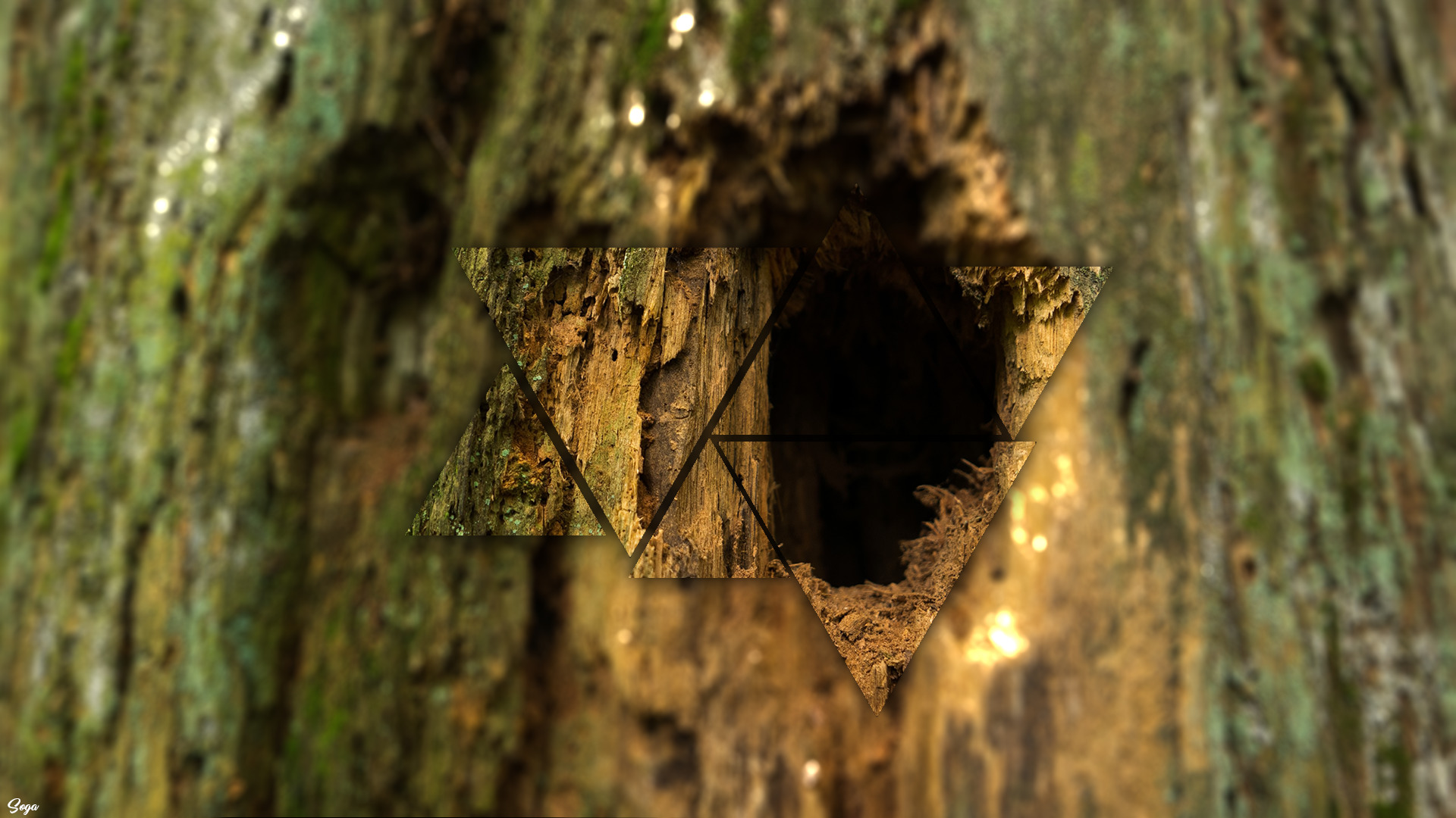 wood, Tree stump, Blurred Wallpaper