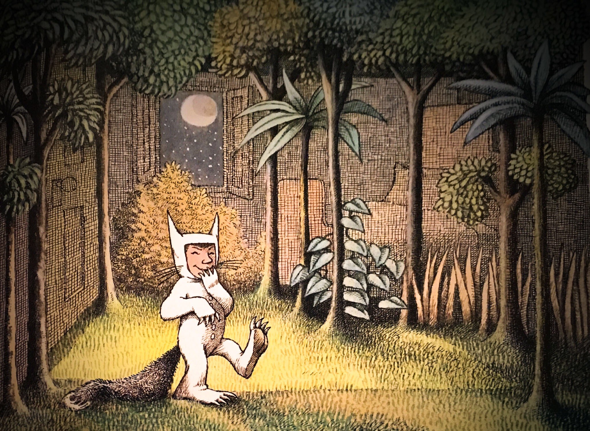 Where the Wild Things Are, Forest, Books Wallpaper