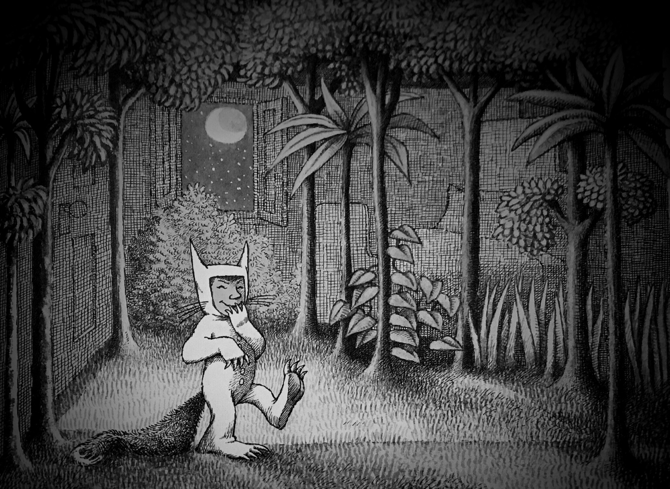 Where the Wild Things Are, Forest, Books Wallpaper