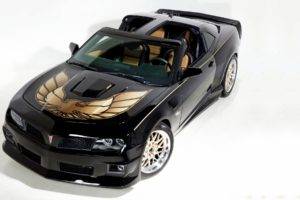 Pontiac Firebird TransAm, Pontiac Firebird, Pontiac, Car, Vehicle, Black cars, Simple background