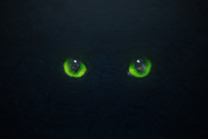green eyes, Cat eyes, Black, Shiny, Cat, Stone, Graphic design, Cover art, Reflection, Minimalism