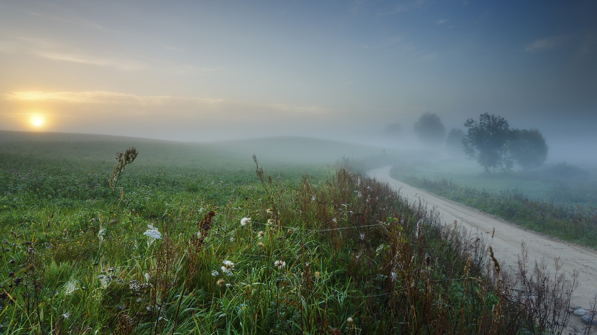 mist, Nature Wallpaper