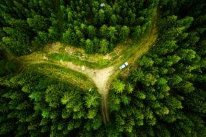 drone, Landscape, Nature, Aerial view, Forest