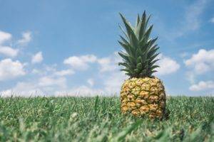 pineapple, Fruit, Sky, Grass