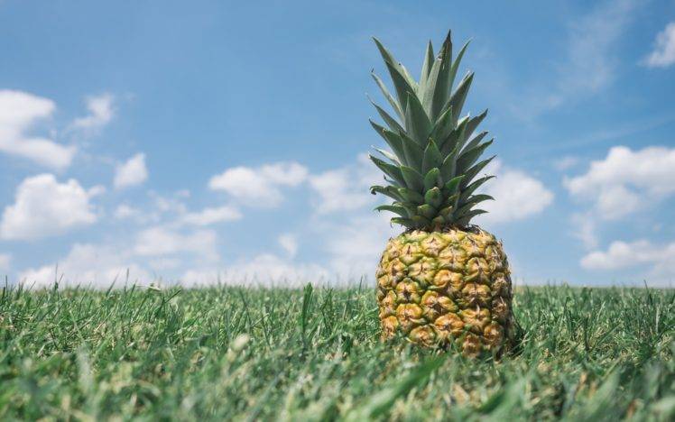 pineapple, Fruit, Sky, Grass HD Wallpaper Desktop Background