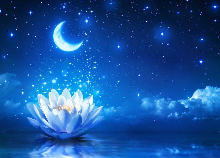 Moon, Sky, Night, Lotus flowers, Stars HD Wallpaper Desktop Background
