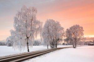 sunlight, Sky, Winter, Road, Trees, Nature, Landscape, Snow