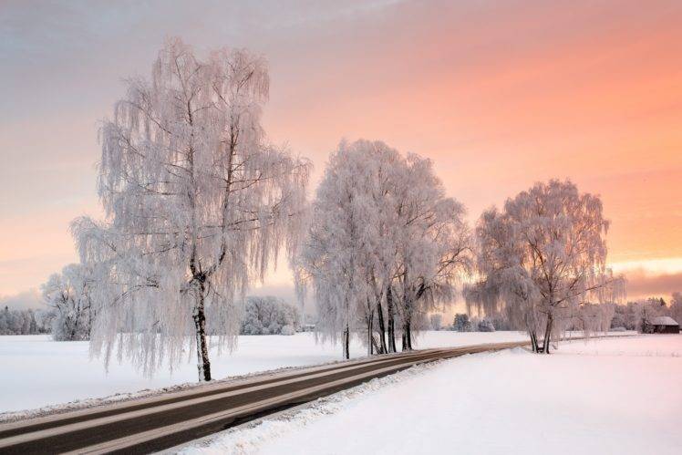 sunlight, Sky, Winter, Road, Trees, Nature, Landscape, Snow HD Wallpaper Desktop Background