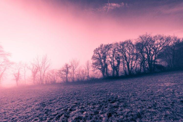 nature, Winter, Sunlight, Landscape, Trees HD Wallpaper Desktop Background