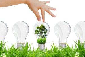 hands, Grass, Technology, Light bulb