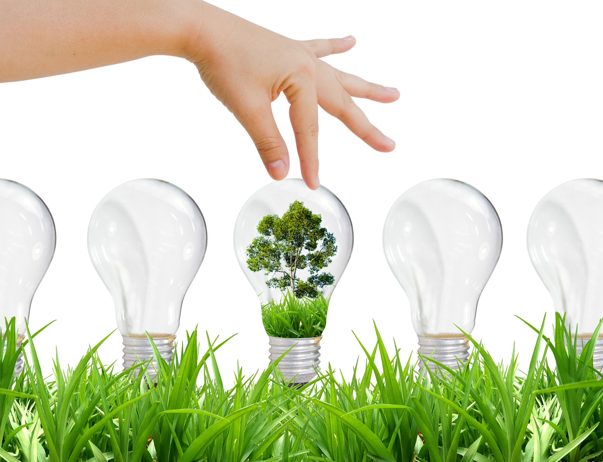 hands, Grass, Technology, Light bulb Wallpaper