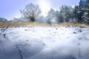 winter, Snow, Landscape, Nature, Ice