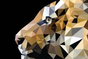 tiger, Low poly, Illustration, Triangle