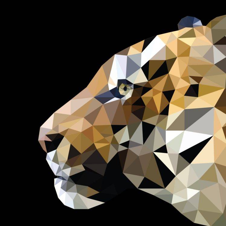 tiger, Low poly, Illustration, Triangle HD Wallpaper Desktop Background