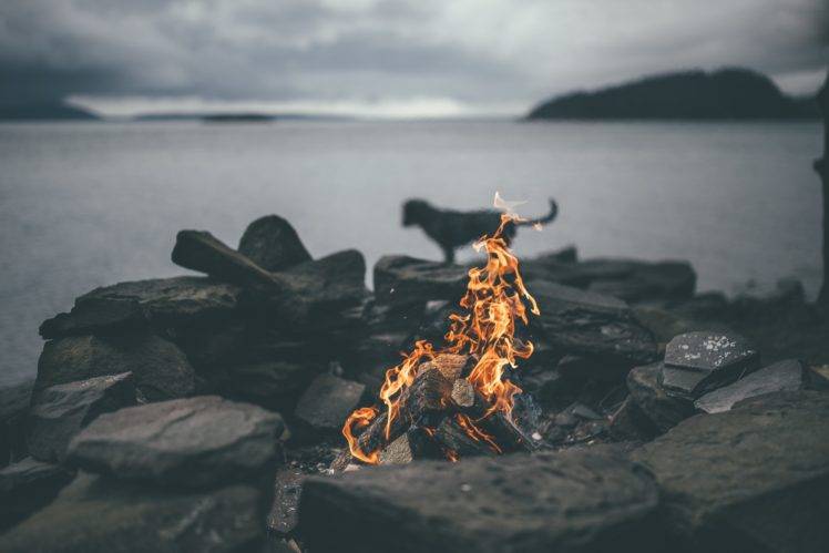 nature, Fire, Bonfires, Dog, Sea, Rocks, Sky, Water, Landscape HD Wallpaper Desktop Background