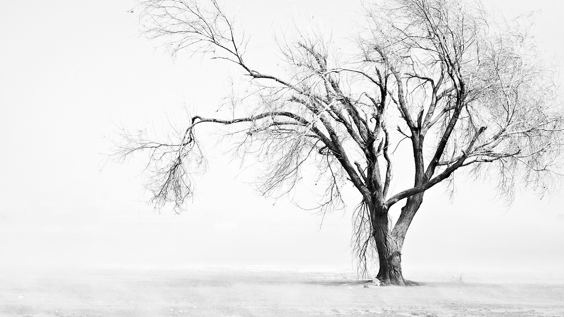 artwork, Landscape Wallpaper