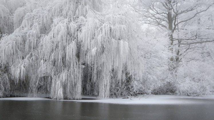 winter, Snow, Ice, Trees HD Wallpaper Desktop Background