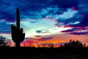 nature, Landscape, Sunlight, Sky, Clouds, Saguaro National Park, USA, Arizona