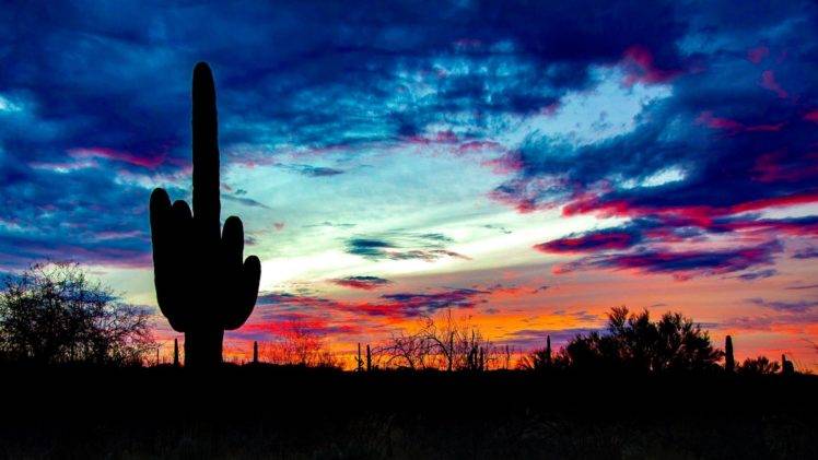 nature, Landscape, Sunlight, Sky, Clouds, Saguaro National Park, USA, Arizona HD Wallpaper Desktop Background