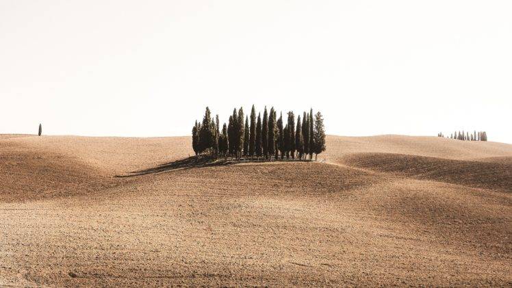 hills, Dirt, Trees, Landscape HD Wallpaper Desktop Background