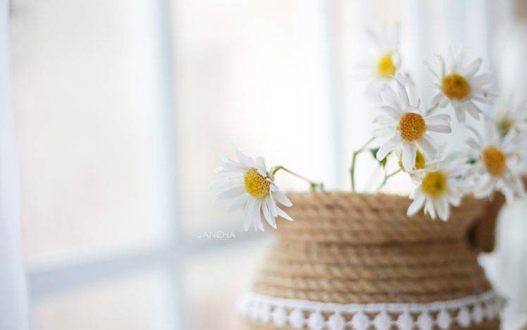 flowers, Basket, Plants HD Wallpaper Desktop Background