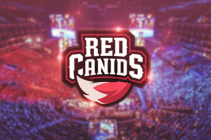 Red Canids, Cblol