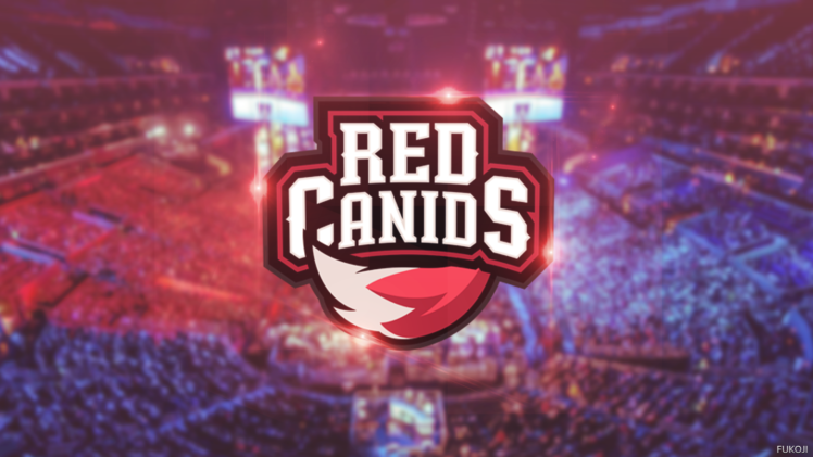 Red Canids, Cblol HD Wallpaper Desktop Background