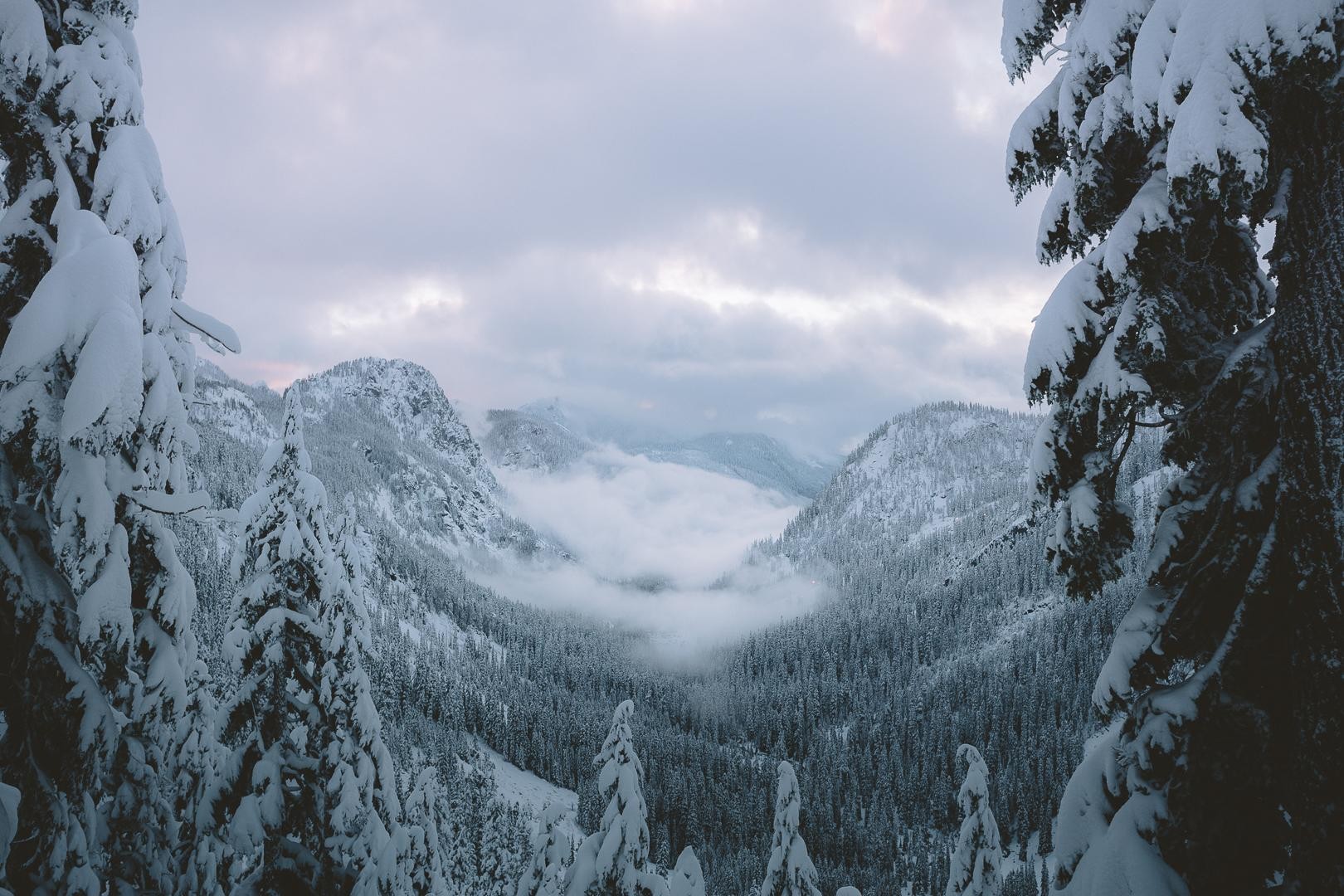 mountain pass, Snow, Winter, Mountains, Trees, Landscape Wallpaper
