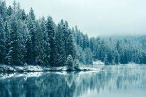 winter, Nature, Water, Snow