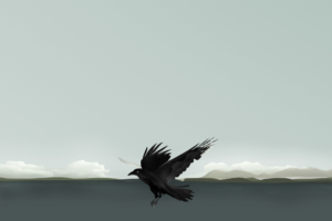 abstract, Polar night, Crow