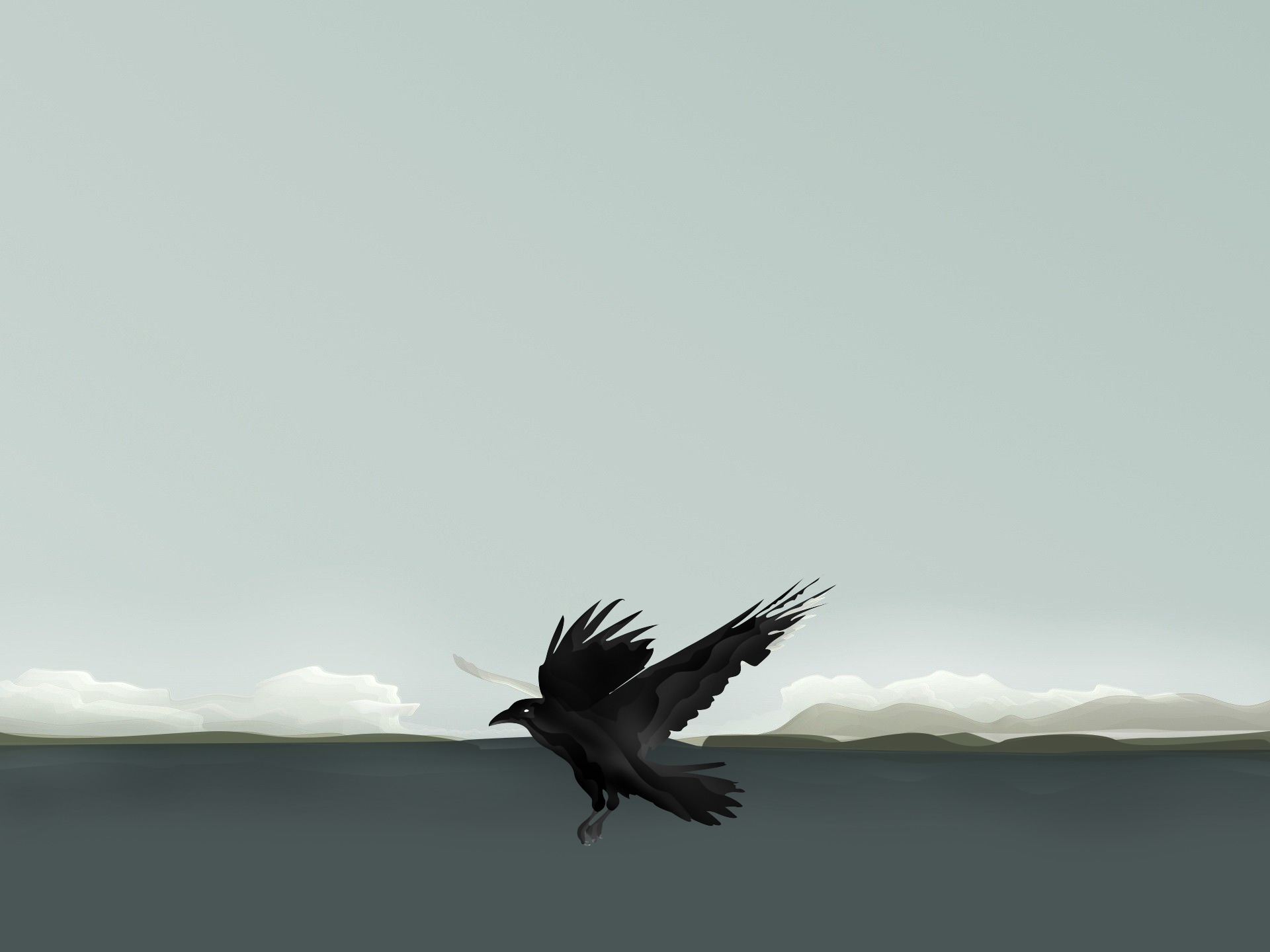 abstract, Polar night, Crow Wallpaper