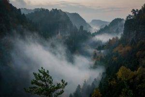 Philipp Zieger, Mountains, Nature, Forest, Mist, Switzerland