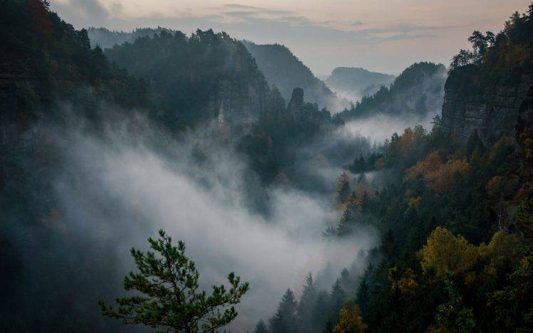 Philipp Zieger, Mountains, Nature, Forest, Mist, Switzerland HD Wallpaper Desktop Background