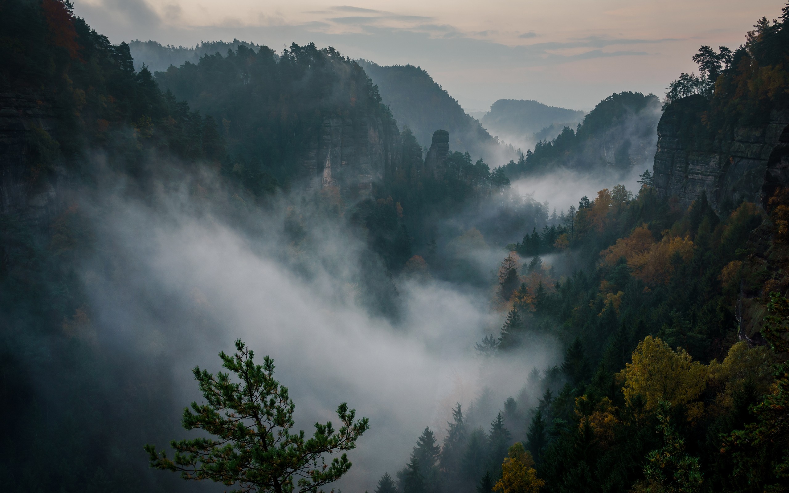 Philipp Zieger, Mountains, Nature, Forest, Mist, Switzerland Wallpaper
