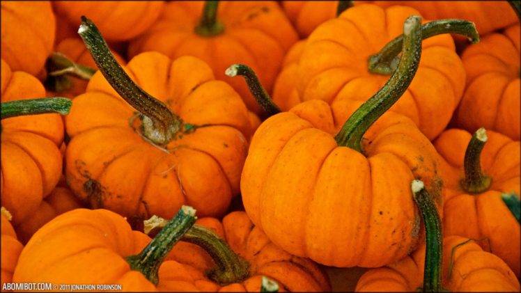 pumpkin, Fall, Halloween, October, Orange HD Wallpaper Desktop Background