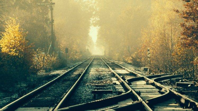 train, Railway, Tracks, Forest