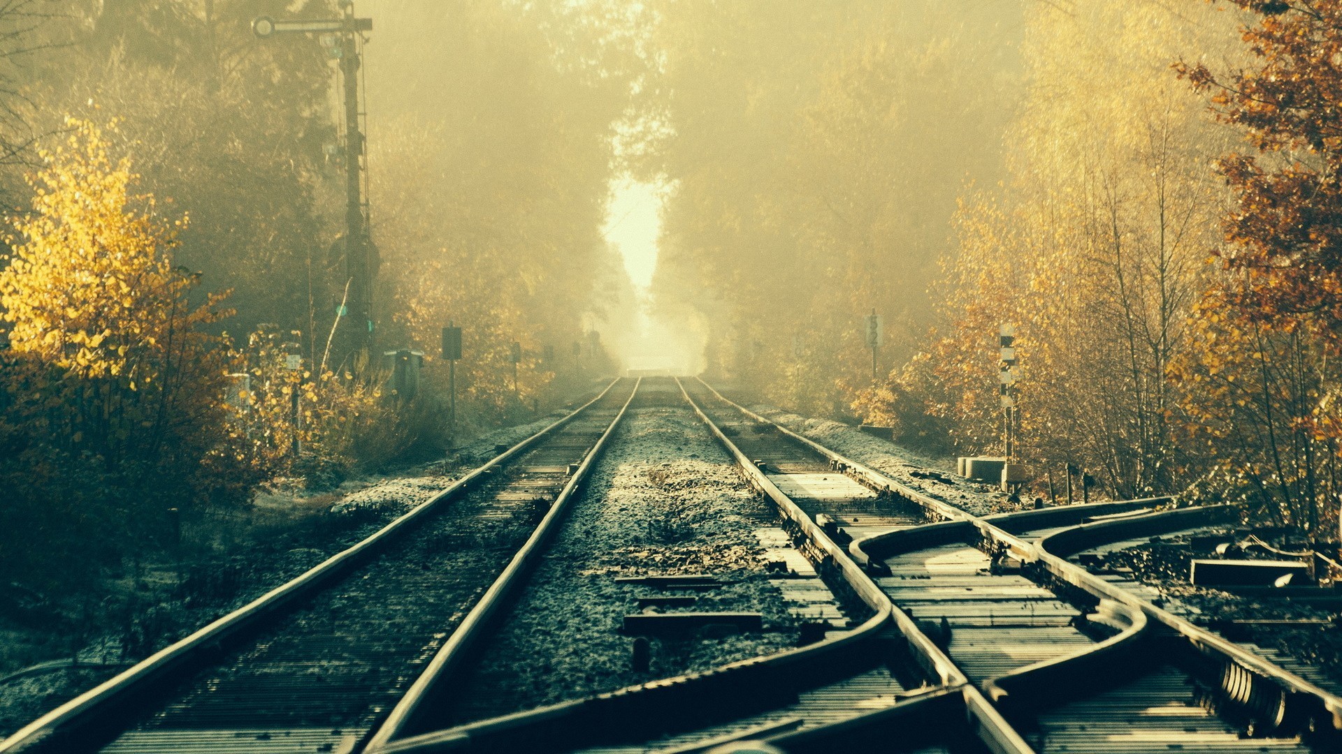 train, Railway, Tracks, Forest Wallpaper