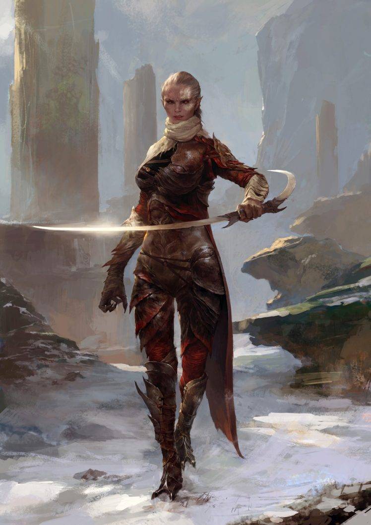 warrior, Fantasy art, Sword Wallpapers HD / Desktop and Mobile Backgrounds