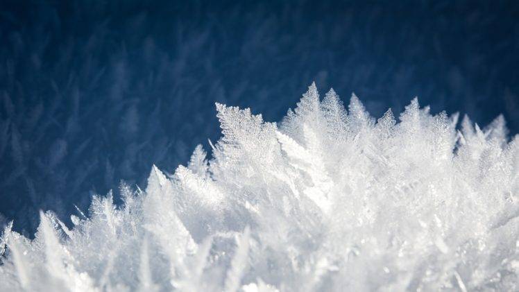 nature, Landscape, Winter, Snow, Ice, Frost, Closeup HD Wallpaper Desktop Background