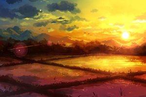 drawing, Rice paddy, Sunrise