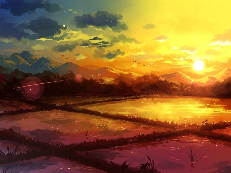 drawing, Rice paddy, Sunrise HD Wallpaper Desktop Background