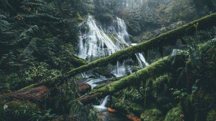 waterfall, Nature, Forest HD Wallpaper Desktop Background