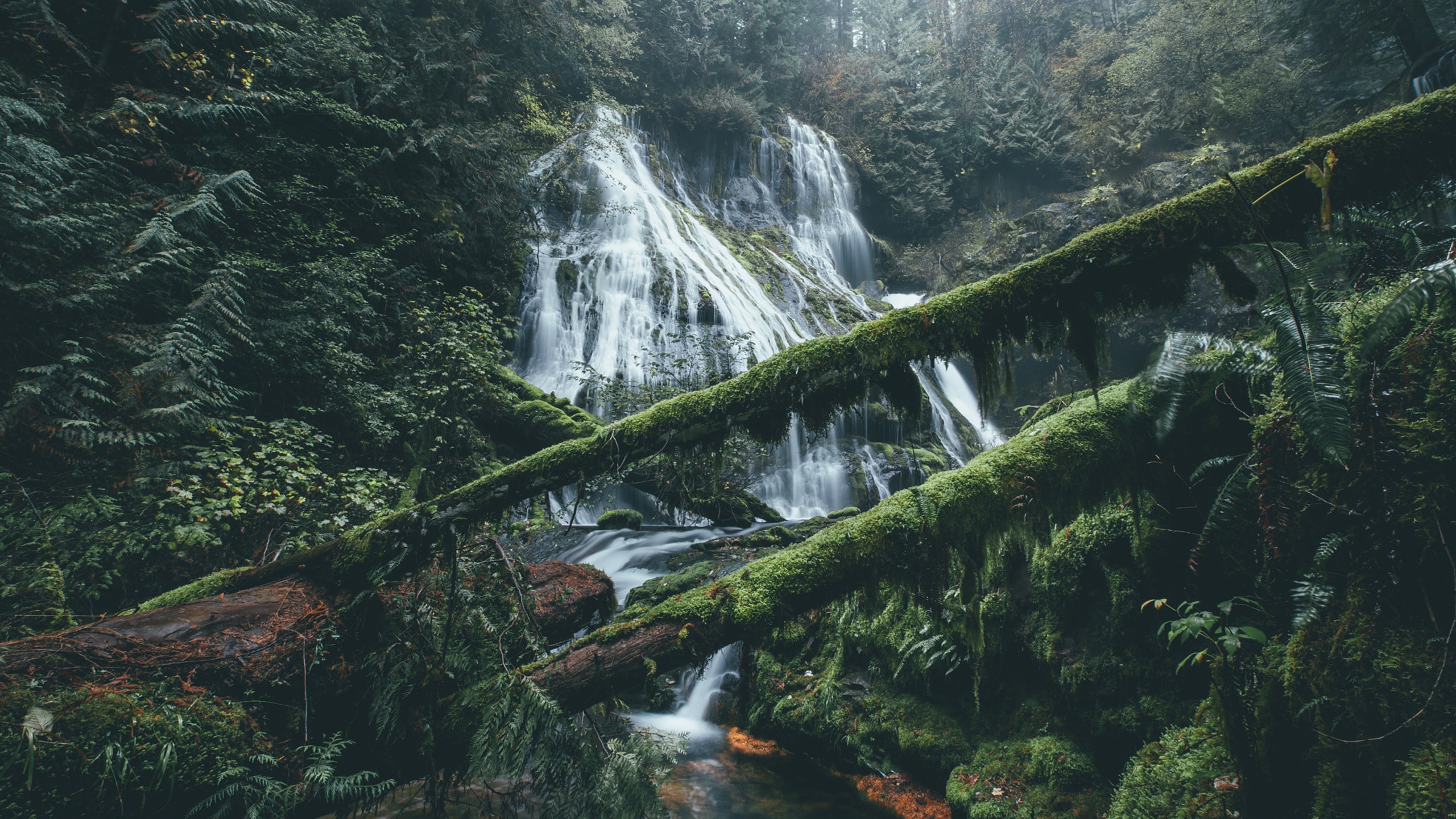 waterfall, Nature, Forest Wallpaper