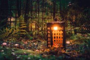 nature, Natural light, Lantern, Outdoors, Leaves