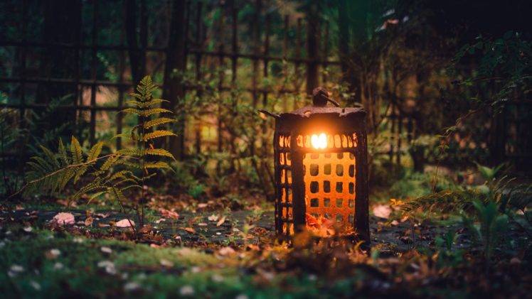 nature, Natural light, Lantern, Outdoors, Leaves Wallpapers HD / Desktop  and Mobile Backgrounds