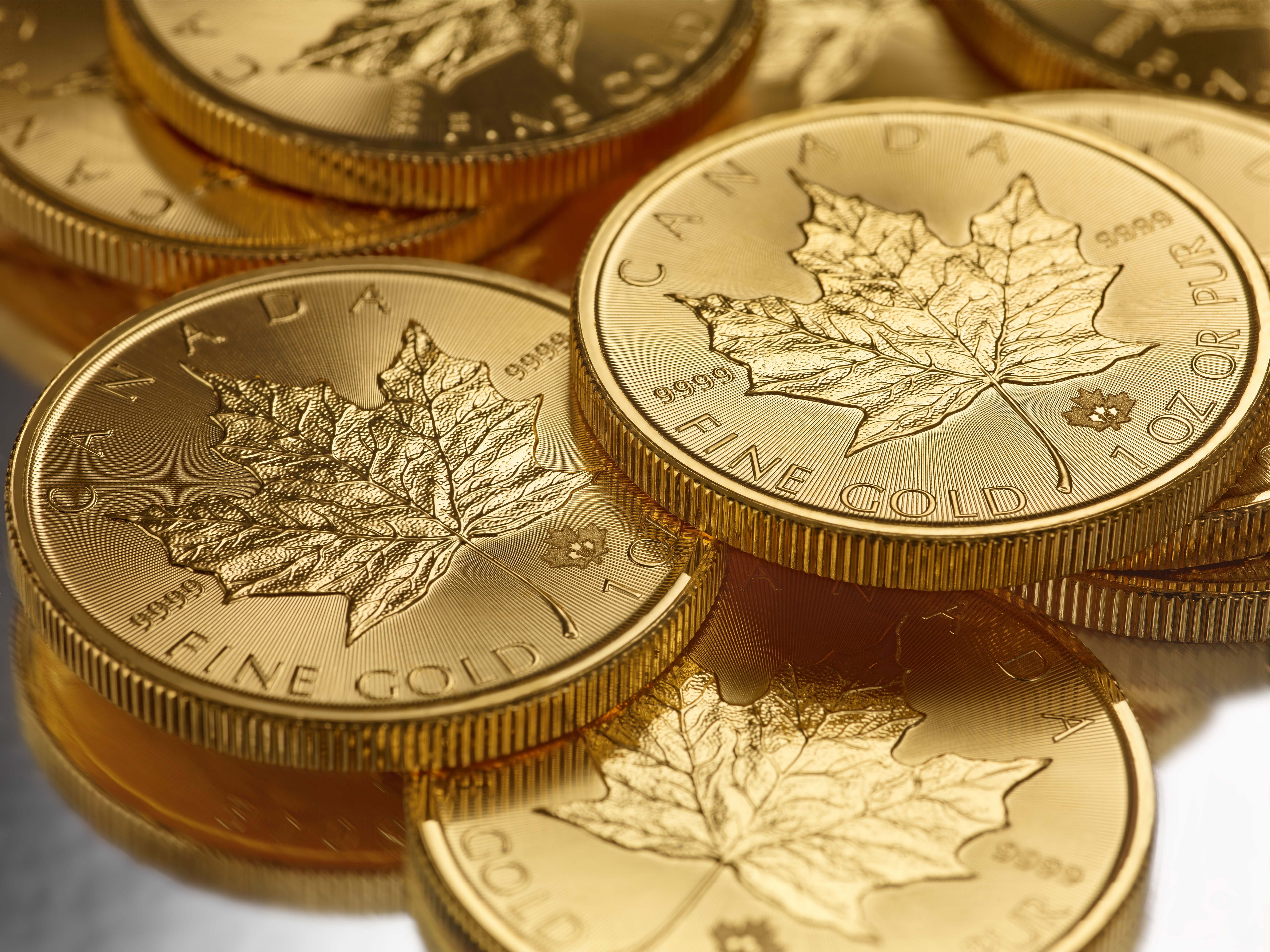 Canada, Macro, Gold, Money, Coins, Metal Wallpapers HD 
