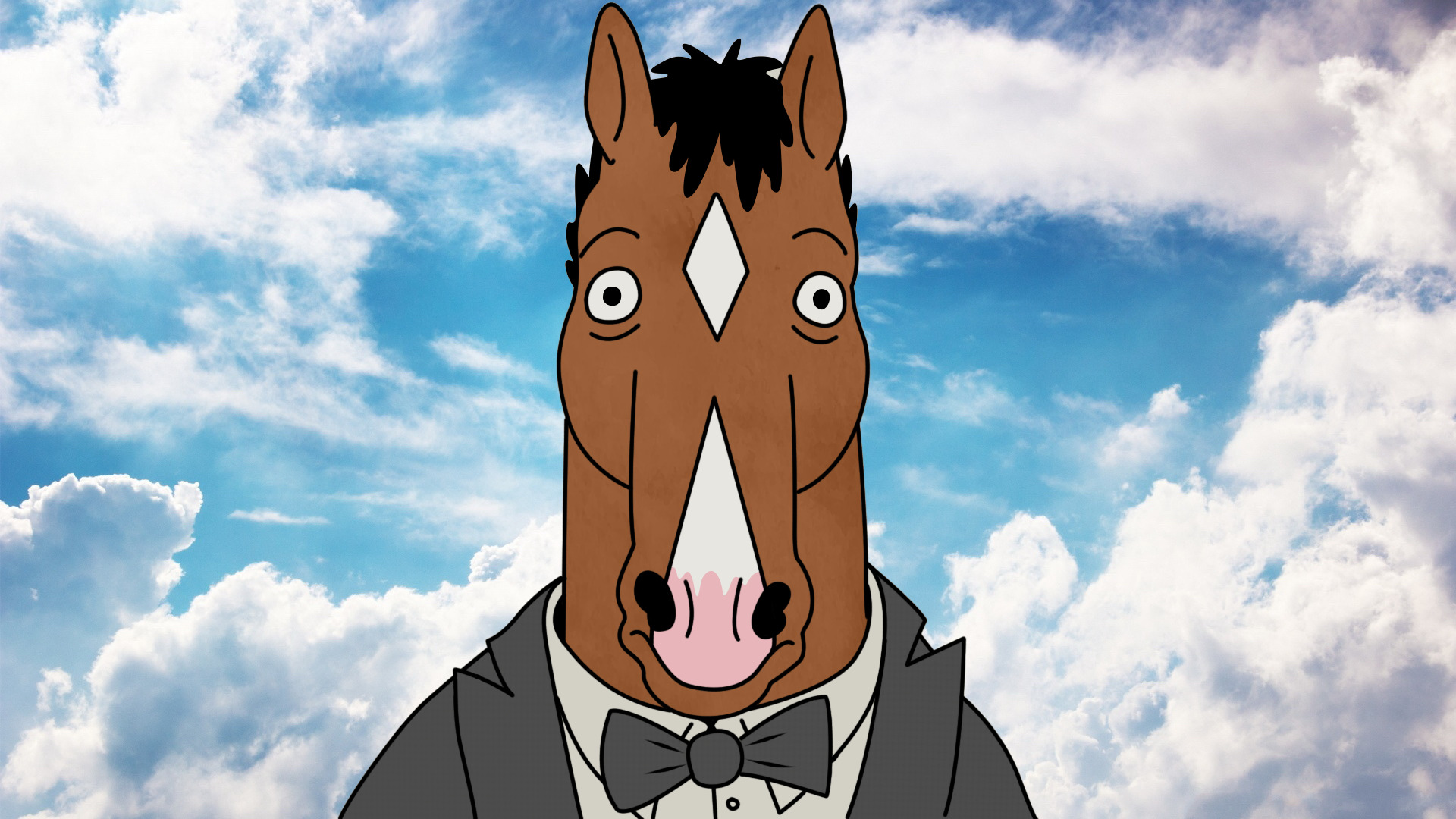 BoJack Horseman, Cartoon Wallpapers HD / Desktop and Mobile Backgrounds