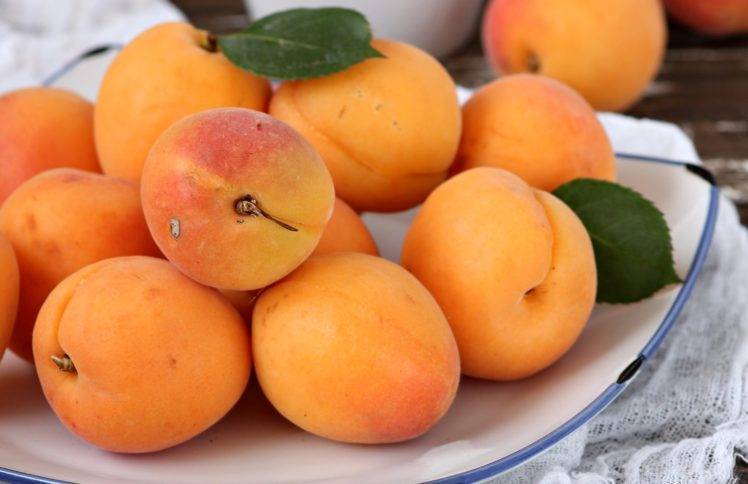fruit, Food, Armenian plum HD Wallpaper Desktop Background