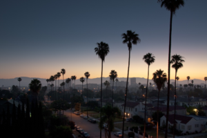 sky, Sunset, Los Angeles, Palm trees, Cityscape