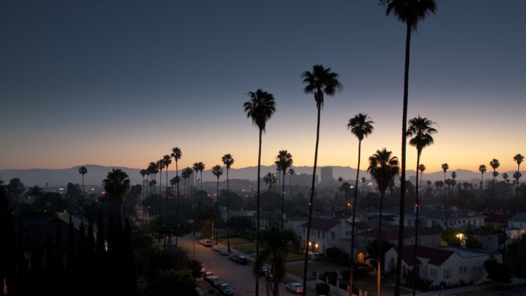 sky, Sunset, Los Angeles, Palm trees, Cityscape HD Wallpaper Desktop Background